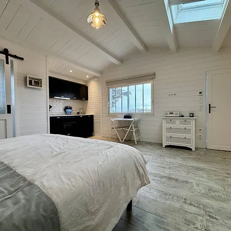 Chai Renove Avec Studio, Jardin Et Terrasse, Proche Plage Et Commerces, La Bree-les-bains. - Fr-1-246a-284